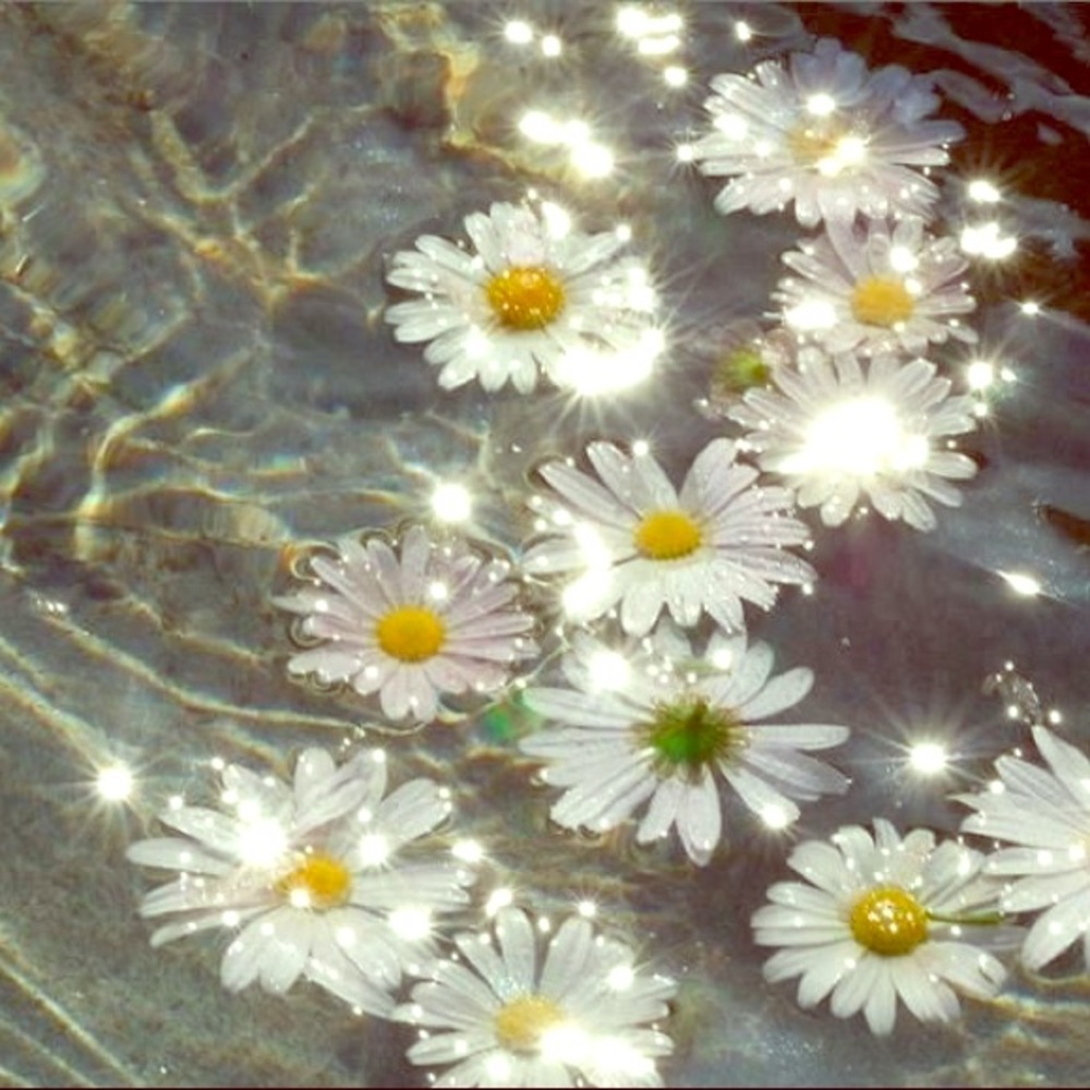 Meet your Posher, Tiana